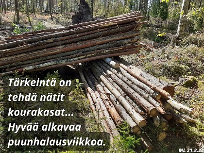 puunhalausviikko, energiapuukasa, puukasa, puunkorjuu, Martti Linna